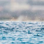 En abril, aguas mil: Los desafíos de las humedades y goteras en el hogar